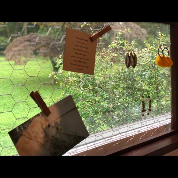 SOLD - Picture 5 of 5